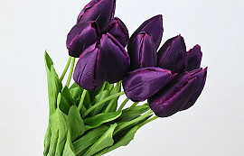 Tulip Purple 50cm 