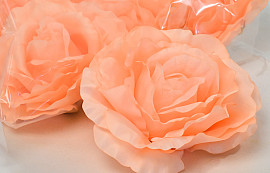 Rose Peach D21cm