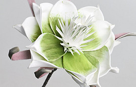 Foam Flower Green, D 20cm