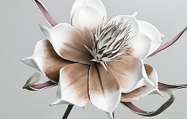 Blume Schaumstoff Weiß-Mocca, D 20cm