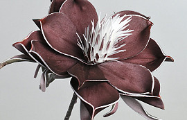 Blume Schaumstoff Aubergine, D 20cm