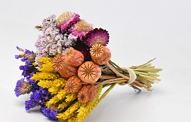 Dried Flower Bouquet Colourful 25cm