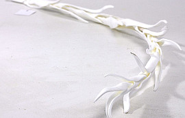 Tillandsia 100cm White