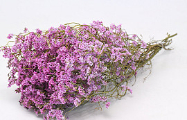 Limonium 60cm Lichtroze