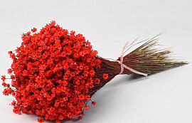 Bouquet Glixia (50gr) Rouge 30cm