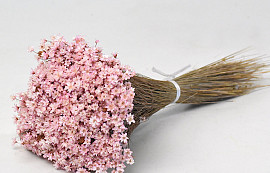 Glixia (50gr) Roze 30cm
