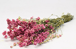 Bouquet Delphinium Rose 50cm
