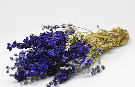 Bouquet Delphinium Bleu 50cm