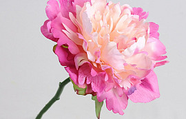 Pivoine XL 30cm Rose-Blanc
