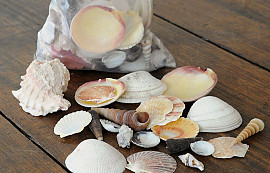 Muscheln Mix 1Kg