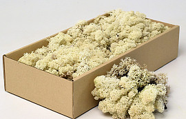 Reindeer Moss Natural 500g.