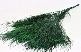 Tiki Fern Green 100gr.