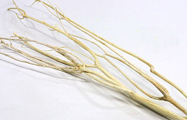 Mitsumata per Branch 95cm bleached