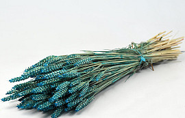 Bouquet Triticum Petrol Bleu (blé) 70cm