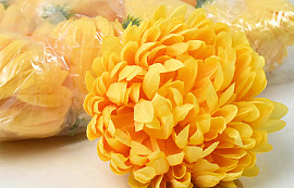 Chrysanthème Jaune D13cm