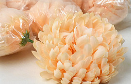 Chrysanthemum Peach D13cm