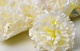 Anjer Creme D9cm