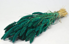 Setaria Emerald Green 65cm