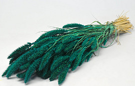 Setaria Smaragdgrün 65cm
