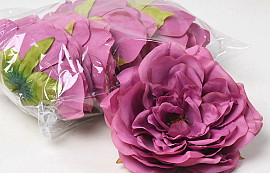 Peony Purple D13cm