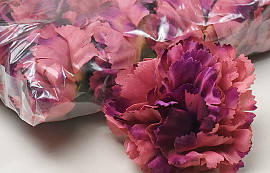 Carnation Purple/Pink D9cm 