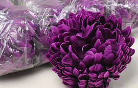 Chrysanthemum Purple D13cm