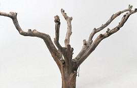 Tee Baum 65cm