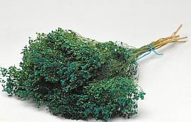 Broom Bloom Emerald Green 50cm