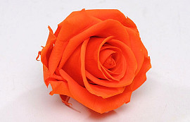 Rose Heads 5cm Orange