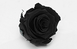 Rose Heads 5cm Black