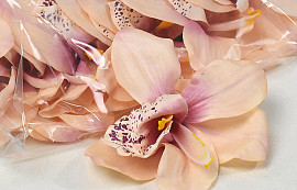 Orchidée Rose D13cm 