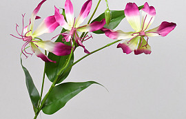 Artificial Gloriosa Pink 80cm 