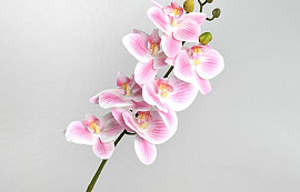Orchidee artificielle  Rose/Crème 73cm 