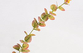 Eucalyptus Rouge artificielle 51cm 