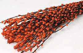Chatons de Saule 70cm Orange 50pcs