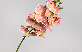 Künstliche Orchidee Rosa 73cm 