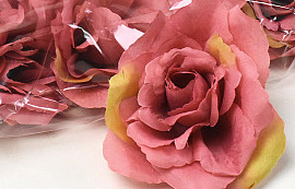 Rose Mauve D10cm