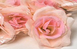 Rose Pink D10cm