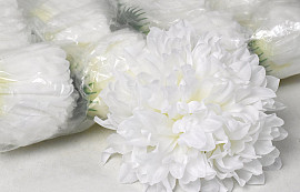 Chrysanthemum Cream D15cm