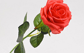 Künstliche Rose Rot D6cm L43cm