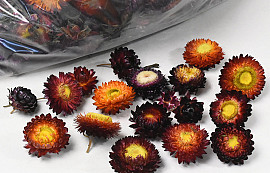 Tête de Helichrysum Rouge 250gr.