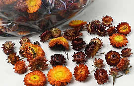 Tête de Helichrysum Orange 250gr.