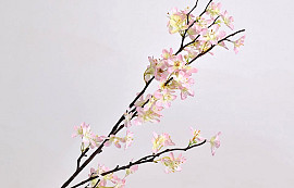 Apple Blossom Pink 84cm