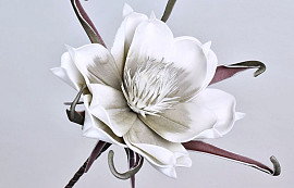 Blume Schaumstoff Weiß-Grau, D 20cm