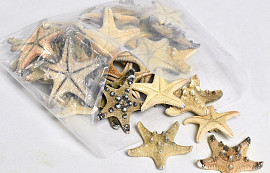 Starfish Rhino 30pcs.