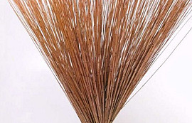 Reed Cane Zalm-roze 75cm