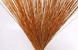 Reed Cane Oranje 75cm