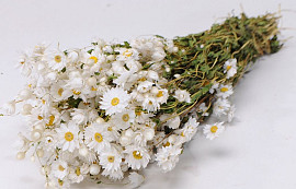 Bouquet Rhodante Blanc 40cm