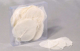Skelet Blaadjes Wit 200pcs