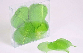 Skeleton Leaves 200pcs LimeGreen